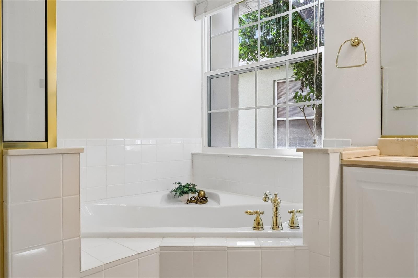 Soaking Tub - 24445 MADEWOOD AVE, LEESBURG