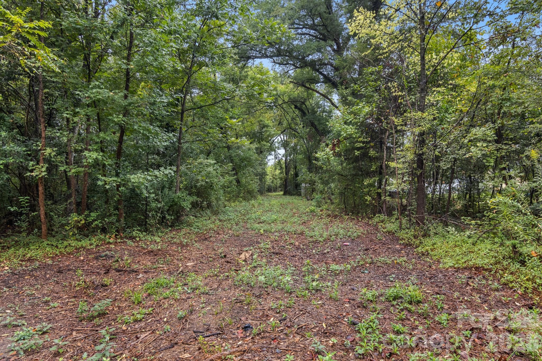 875 Orr Drive
