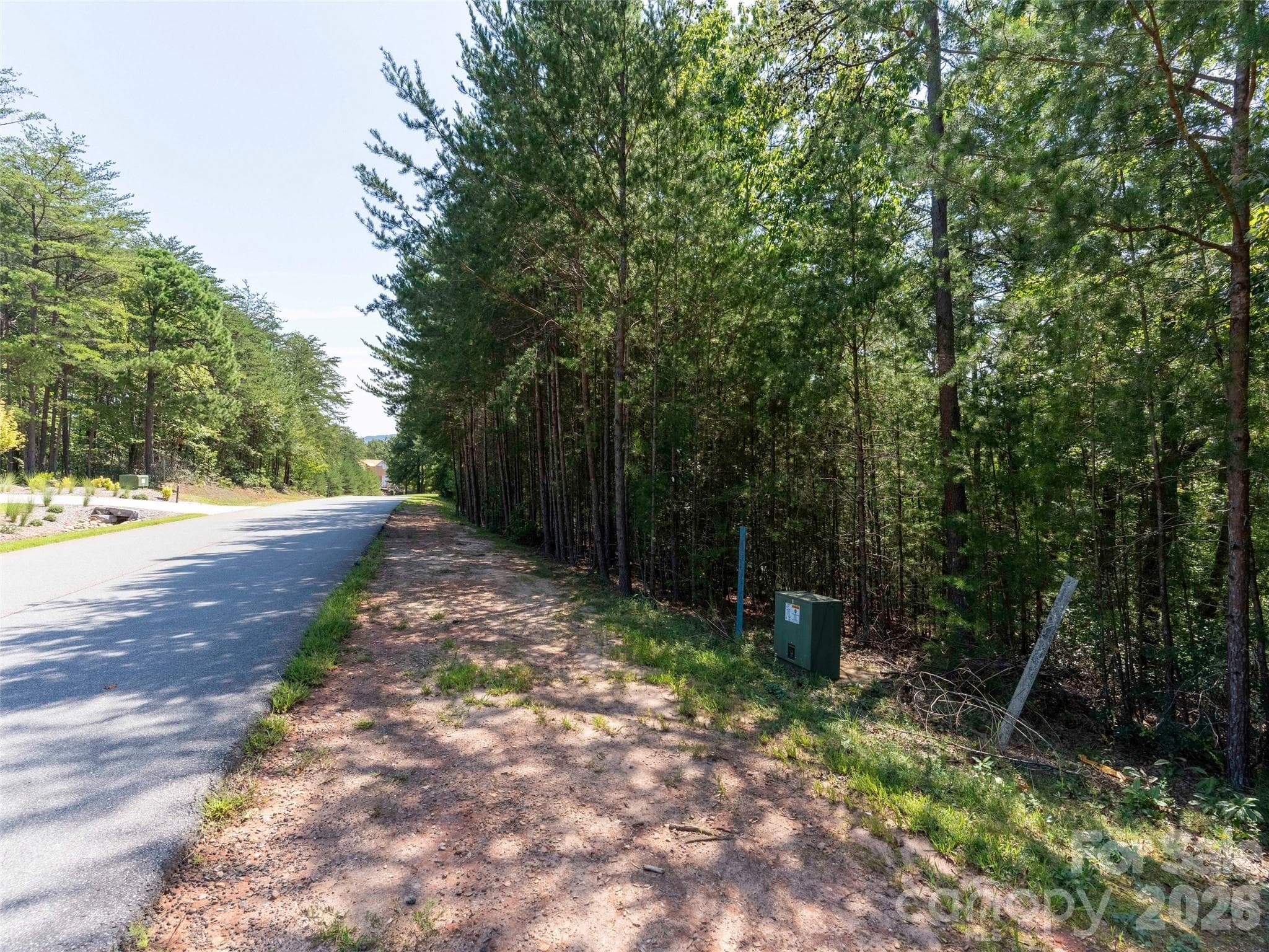 Lot at Mill Spring, photo 6 of 28