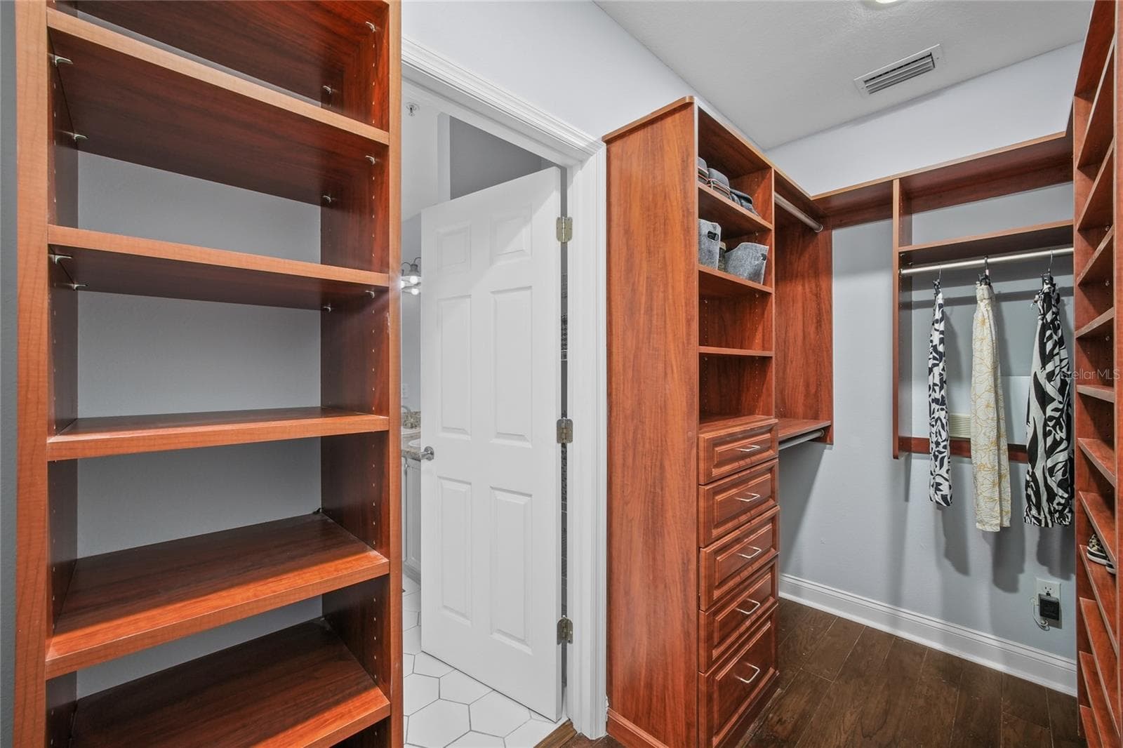 Primary Closet - 4625 LEGACY PARK DR, TAMPA