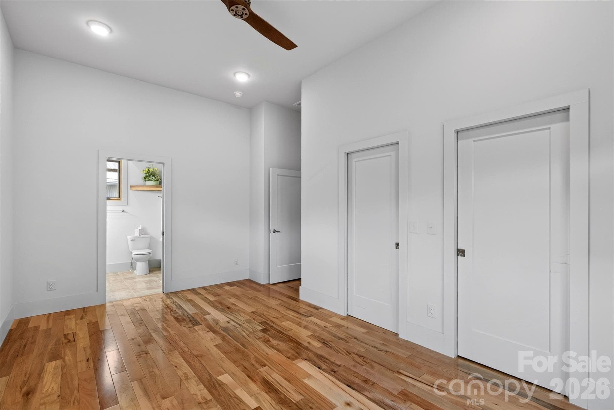 Two Large Closets and Ensuite Bath - 18 Sulphur Springs Road, Asheville