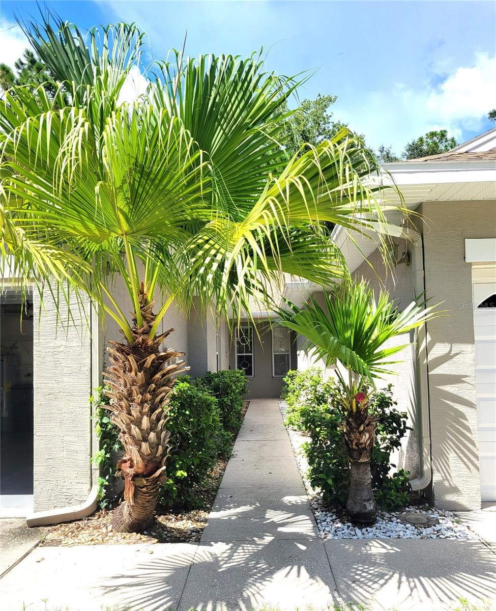 Entryway to Front Door - 4343 LAKESHORE DR, PALM HARBOR