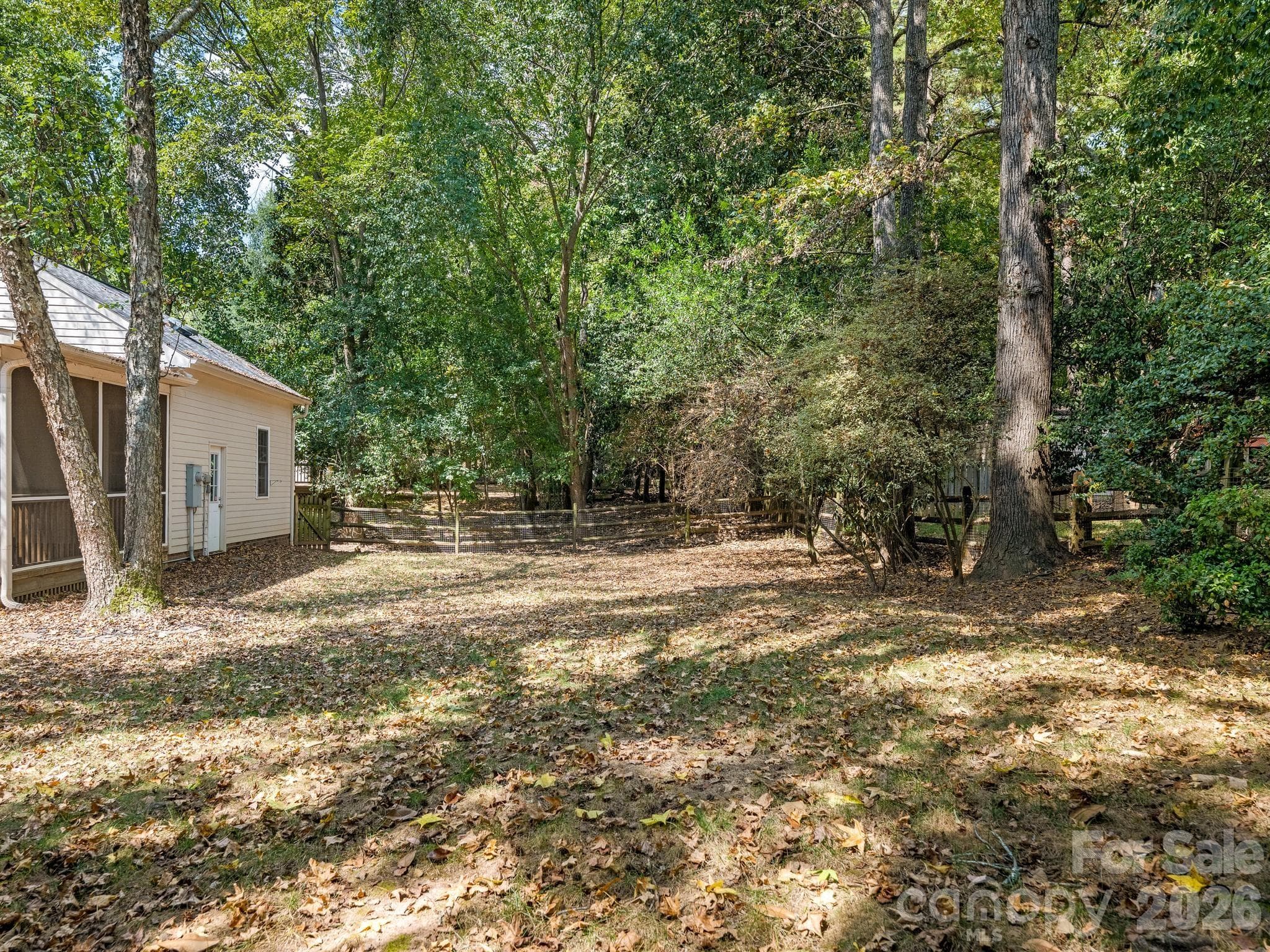 Rear Yard - 8319 Braeside Court, Charlotte