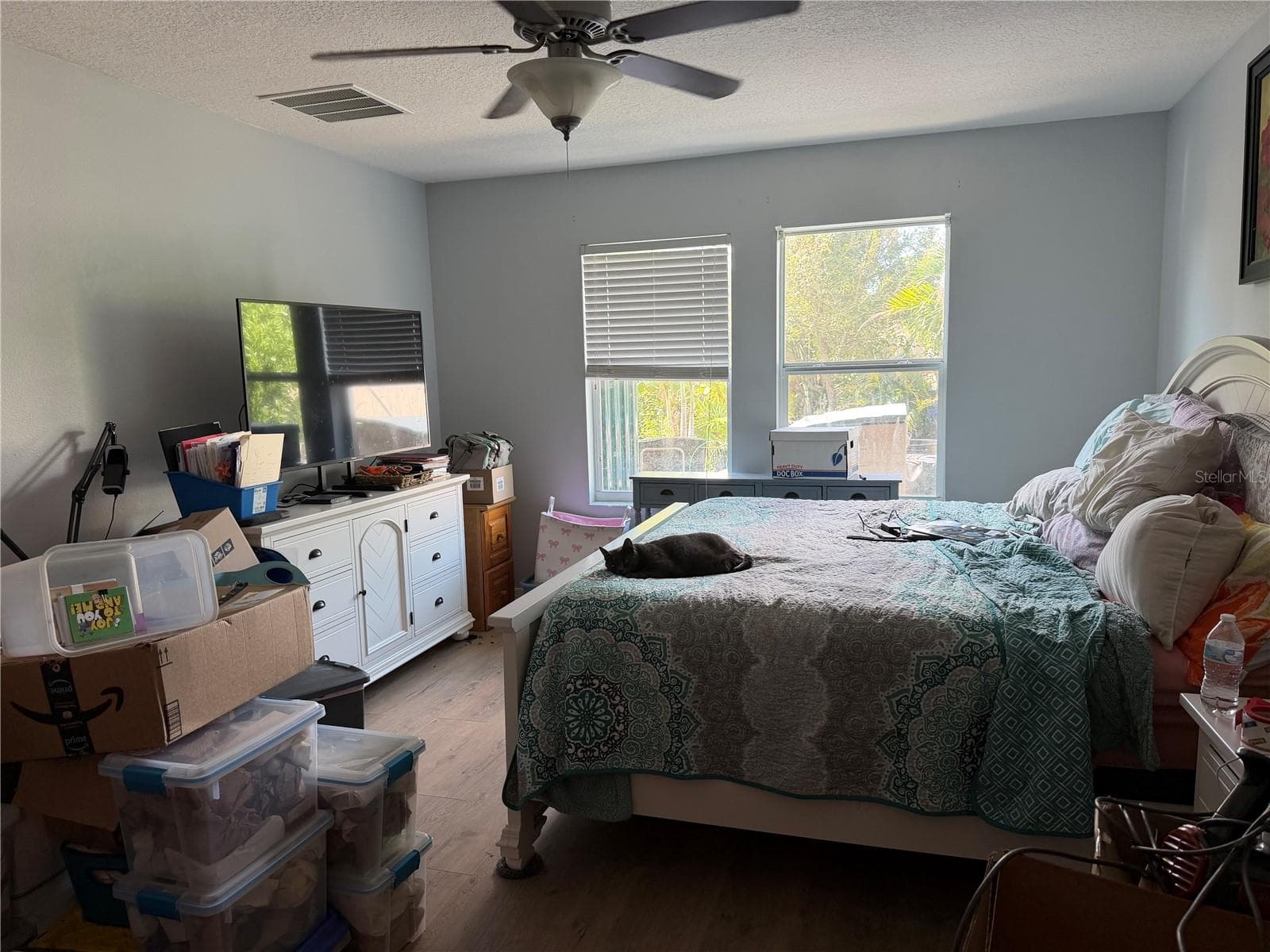 Single Family Residence at 17103 WHITE MANGROVE DR, WIMAUMA, photo 9 of 20