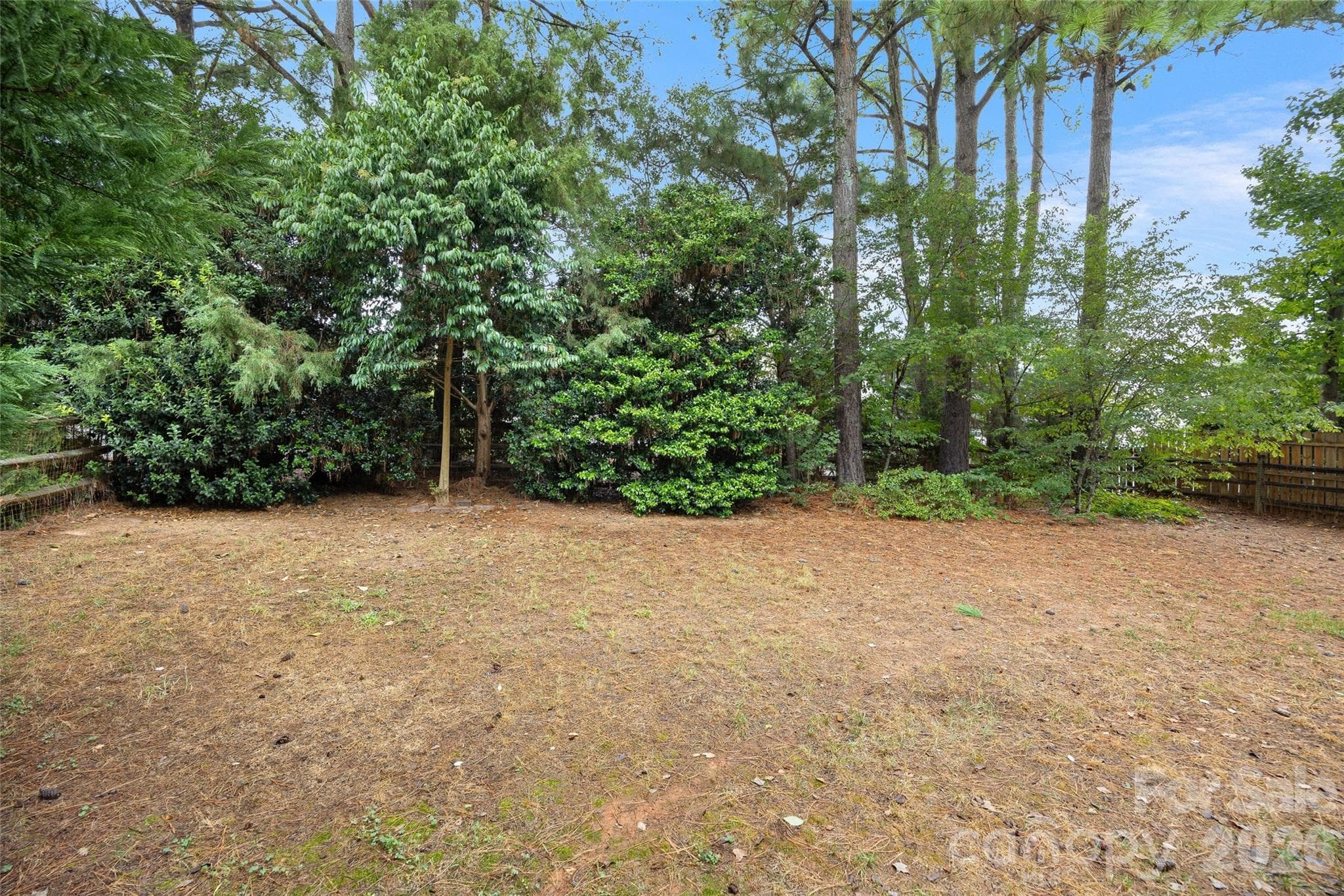 Private backyard - 11424 Innes Court, Charlotte