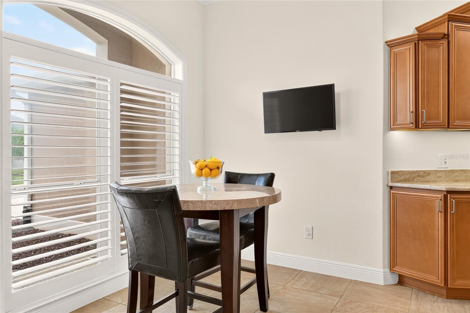 Mounted TV Conveys - 2084 NORDIC LN, THE VILLAGES