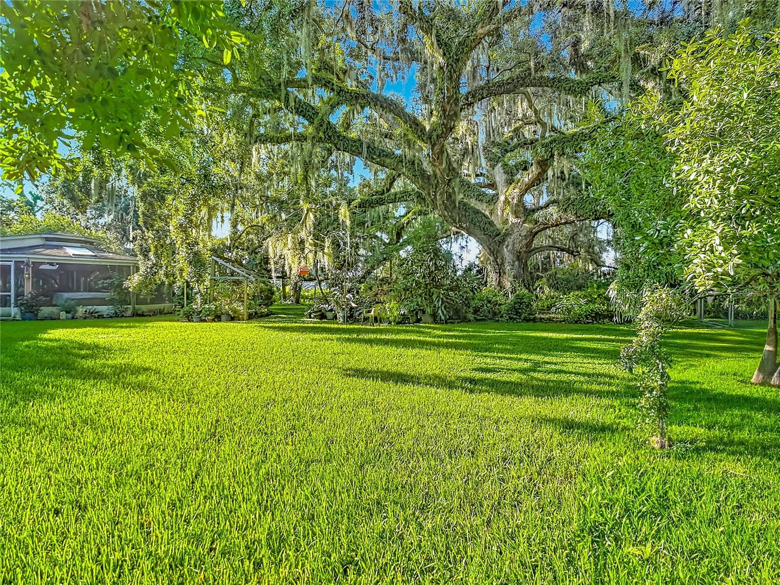 Gorgeous grandfather oak! - 2320 BOGAERT RD, DOVER