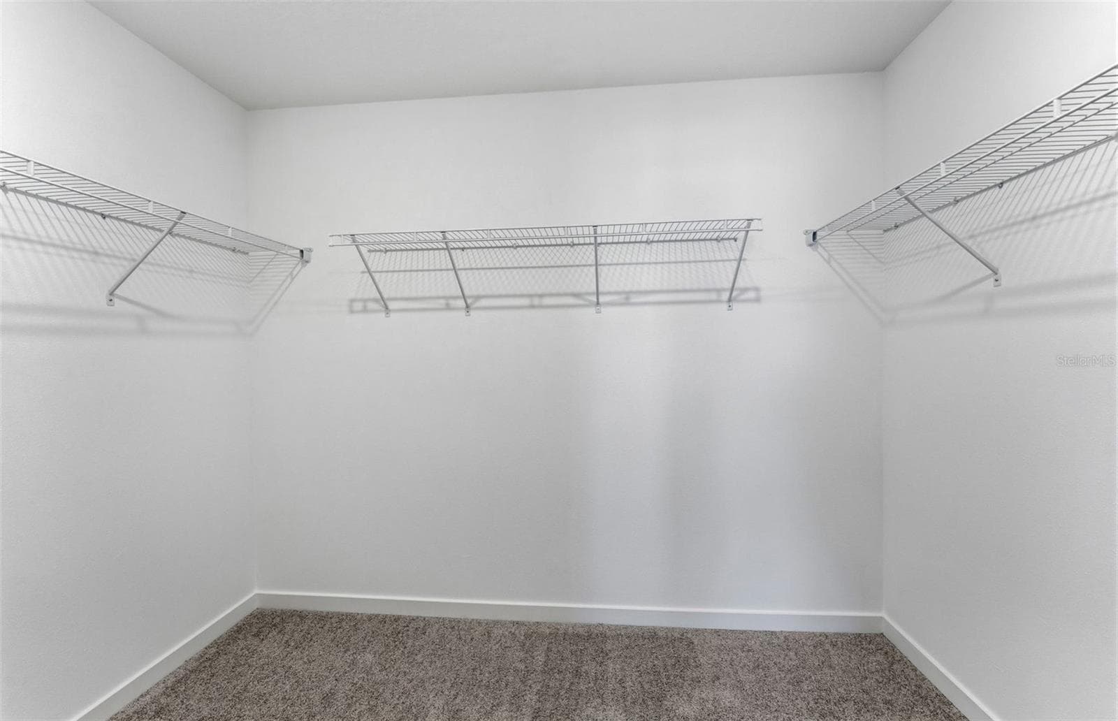 Model Representation - 11133 SYCAMORE GLEN LOOP, THONOTOSASSA