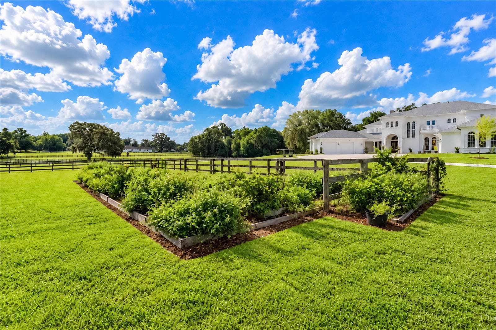 Single Family Residence at 1725 SE 47TH AVE, OCALA, photo 82 of 100