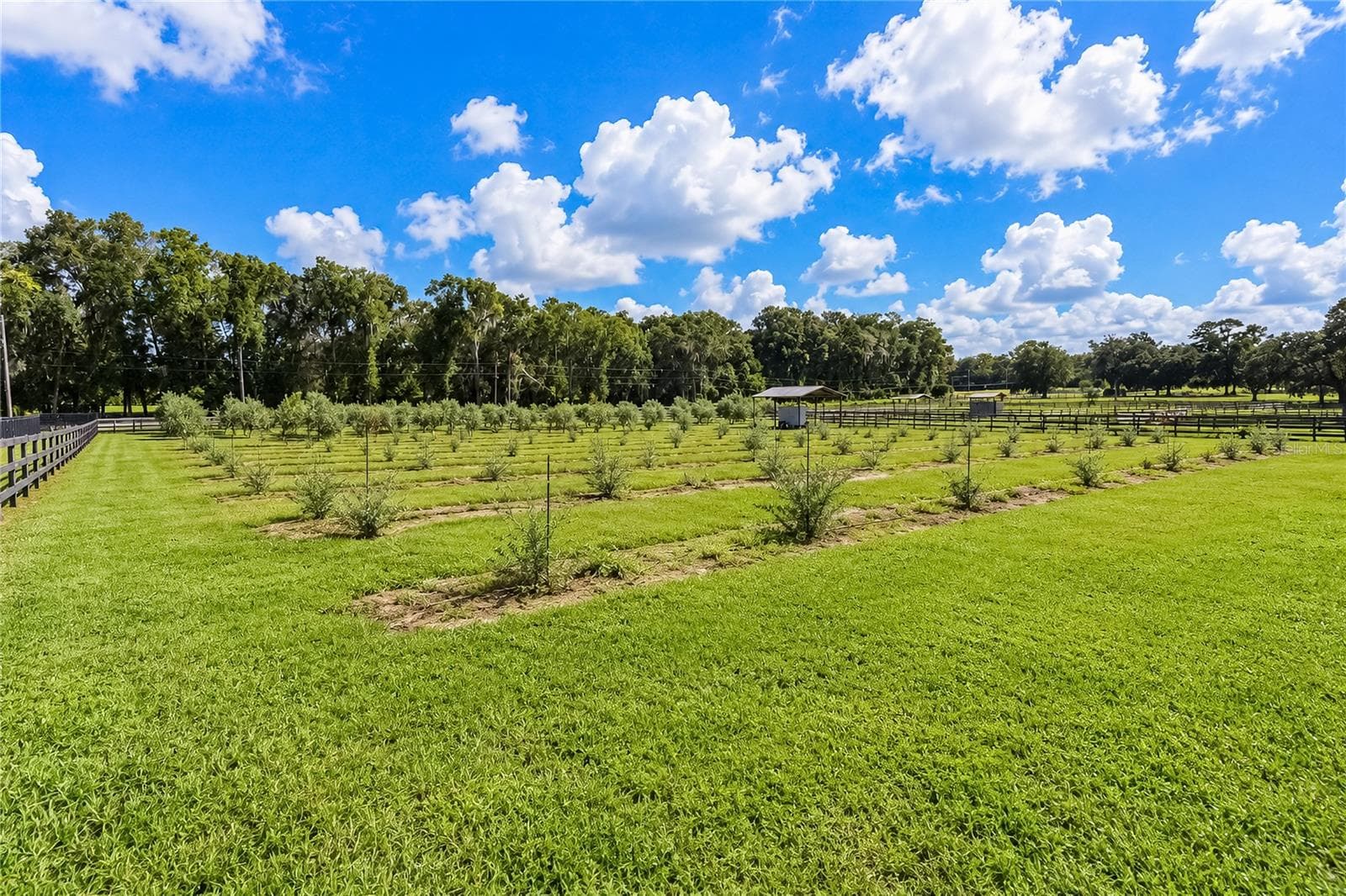 Single Family Residence at 1725 SE 47TH AVE, OCALA, photo 83 of 100