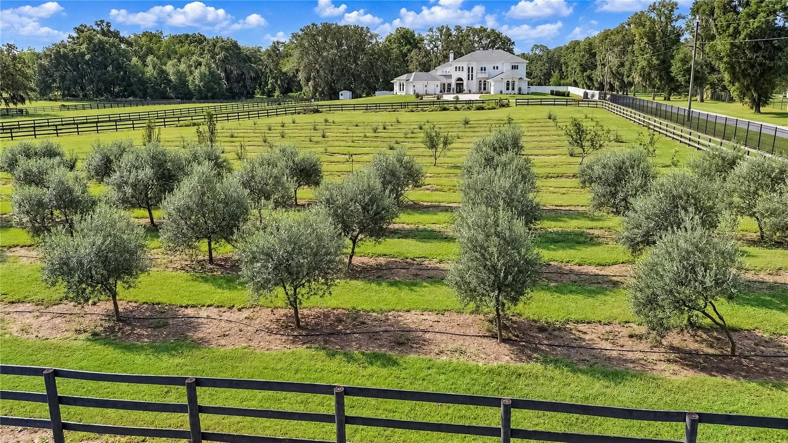 Single Family Residence at 1725 SE 47TH AVE, OCALA, photo 88 of 100