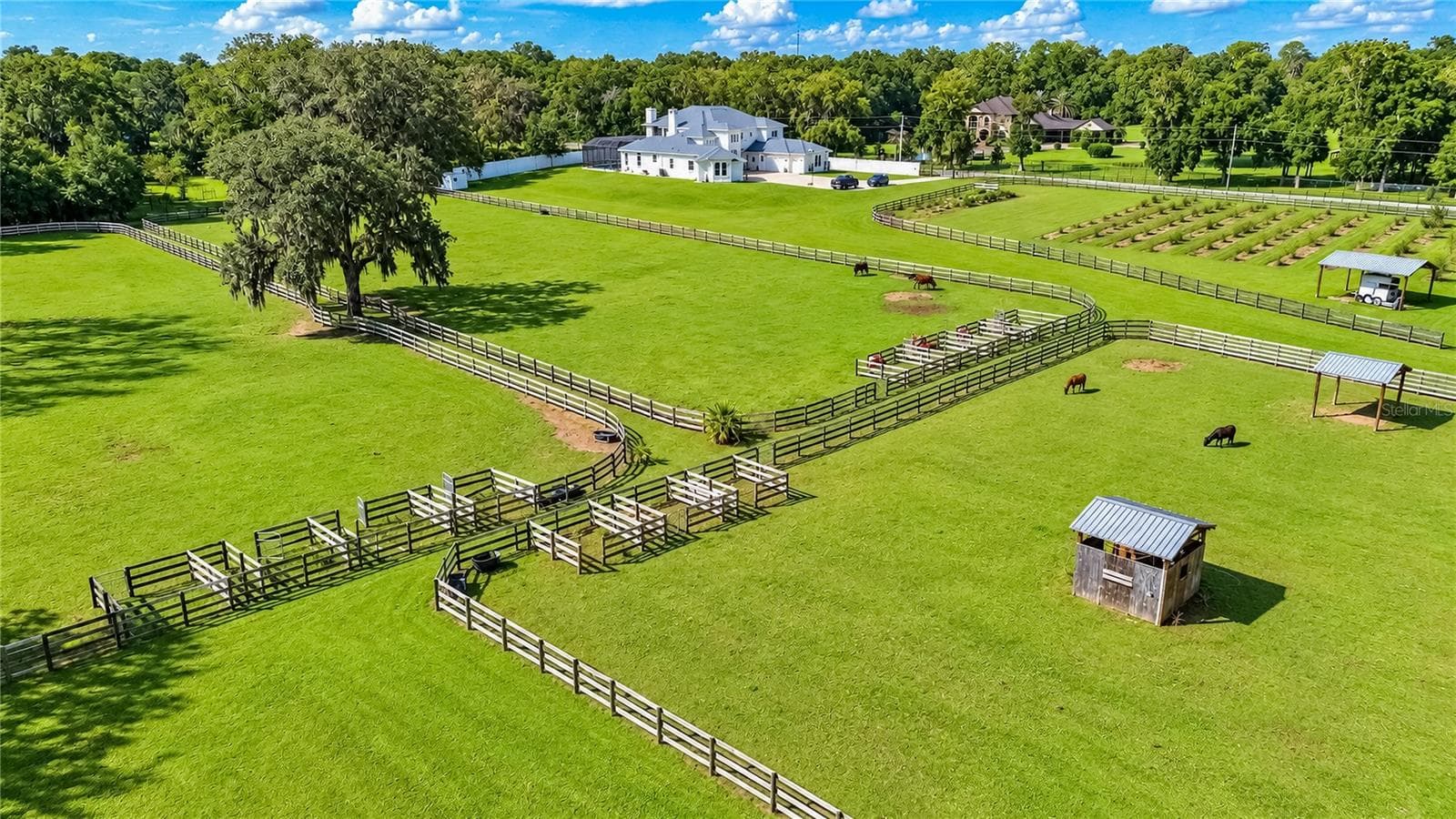 Single Family Residence at 1725 SE 47TH AVE, OCALA, photo 95 of 100