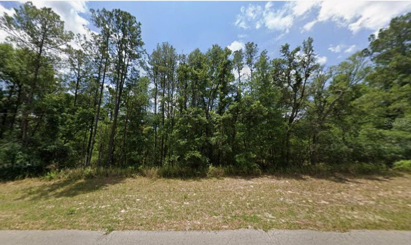 Land at SW 128TH LOOP, OCALA, photo 2 of 5