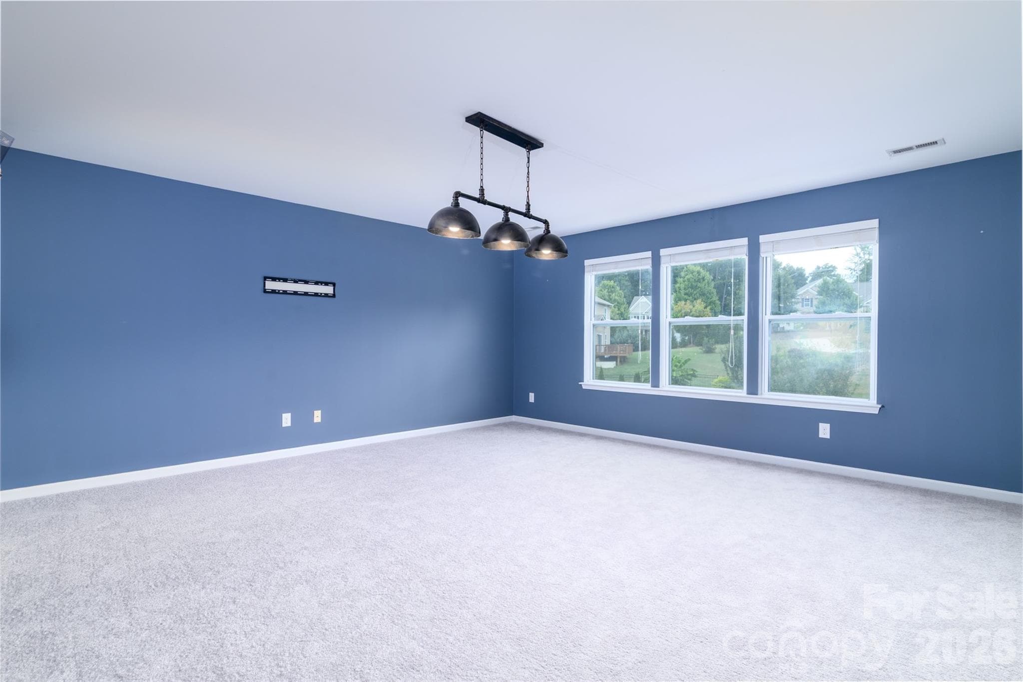 Bonus Room - 7129 Dove Field Lane, Fort Mill