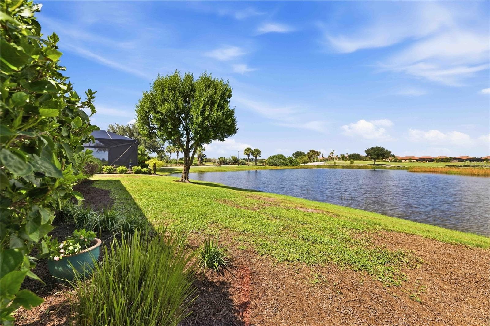 Back of the home - large enough for a pool and lanai - 23739 WAVERLY CIR, VENICE