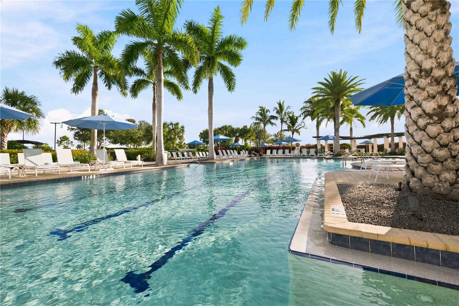 Lap Lanes in the Pool - 23739 WAVERLY CIR, VENICE