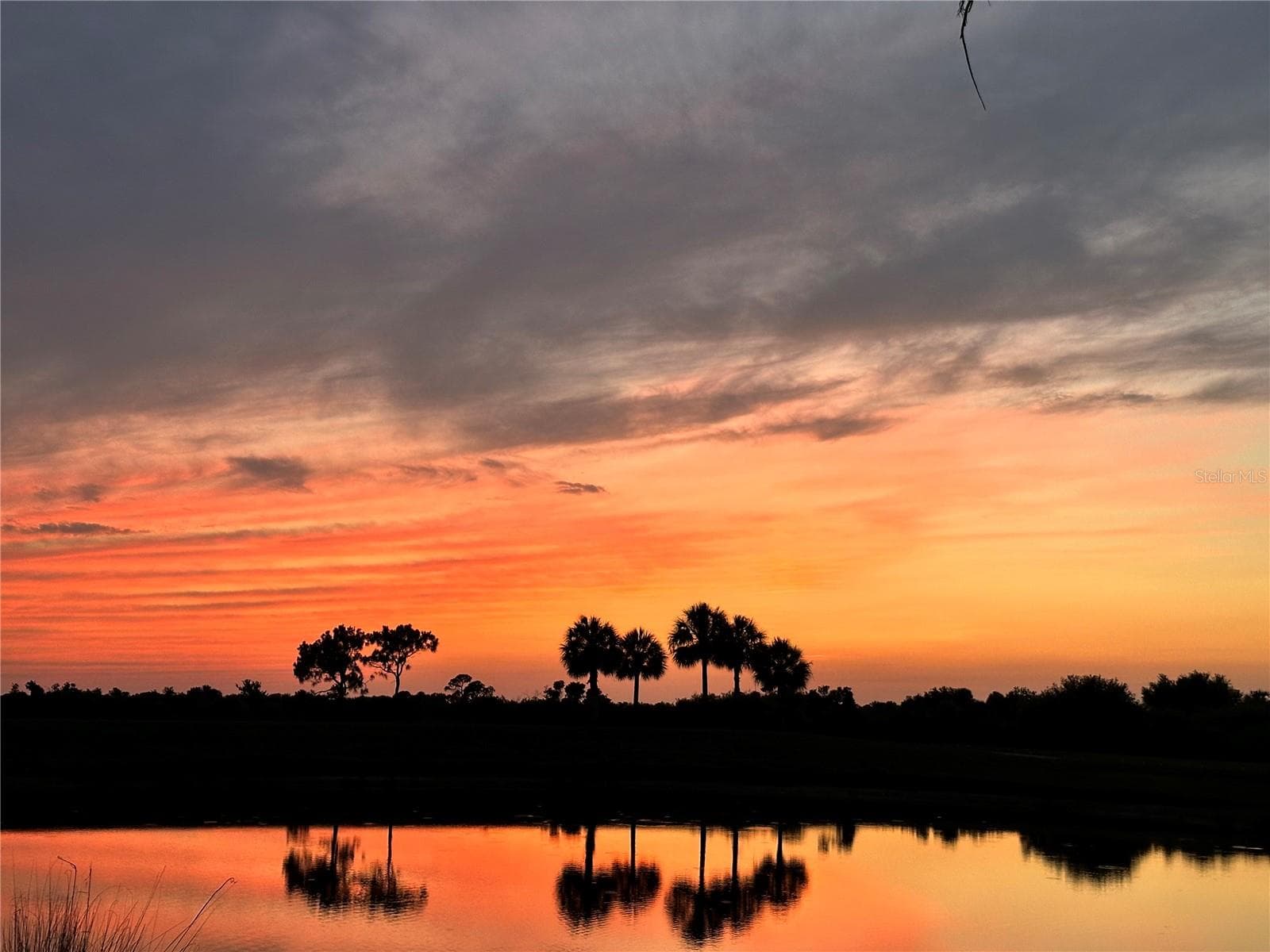 Florida has the best sunsets ever - off national blvd. - 23739 WAVERLY CIR, VENICE