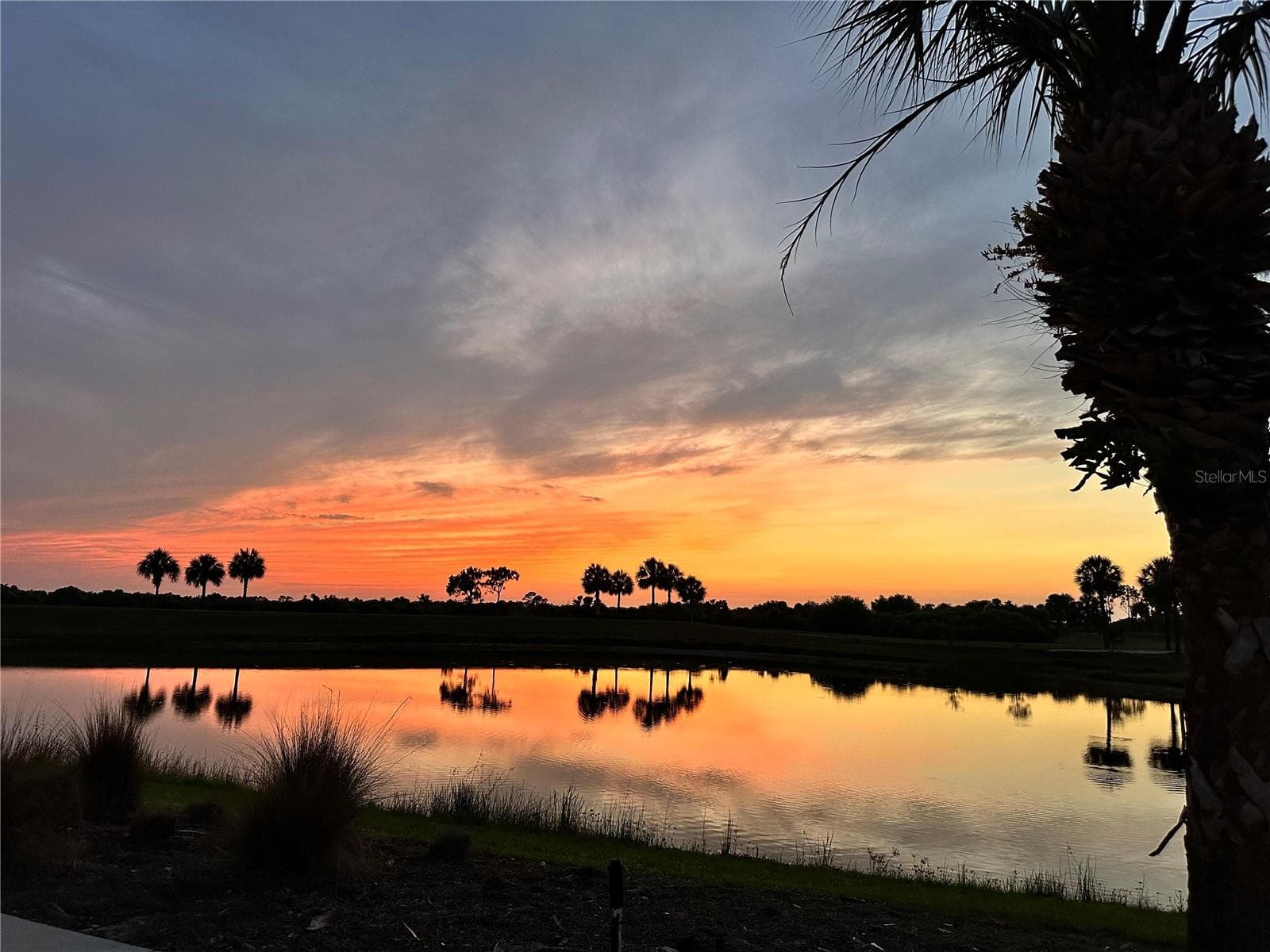 Sunset on National Blvd - 23739 WAVERLY CIR, VENICE