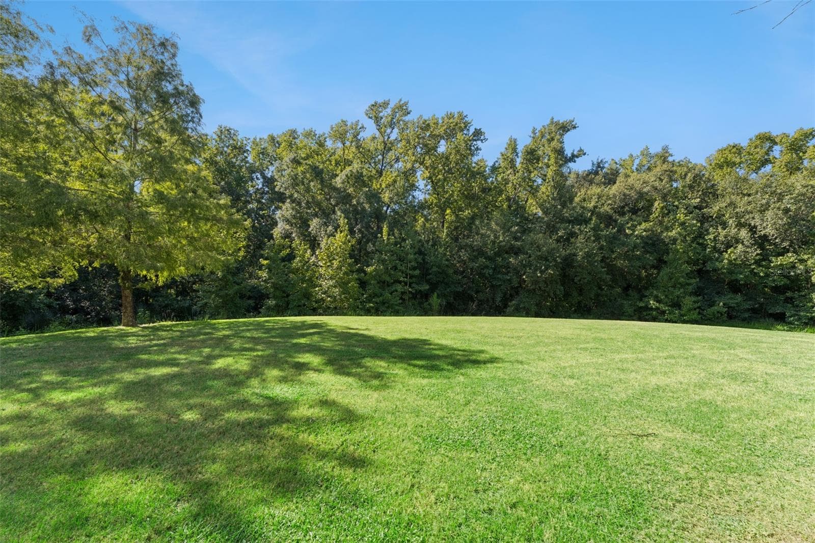 Open Green Space: Wide-open, manicured lawn area directly behind the building bordered by a mature woodland conservation backdrop. - 7656 WHISPER WAY #102, REUNION