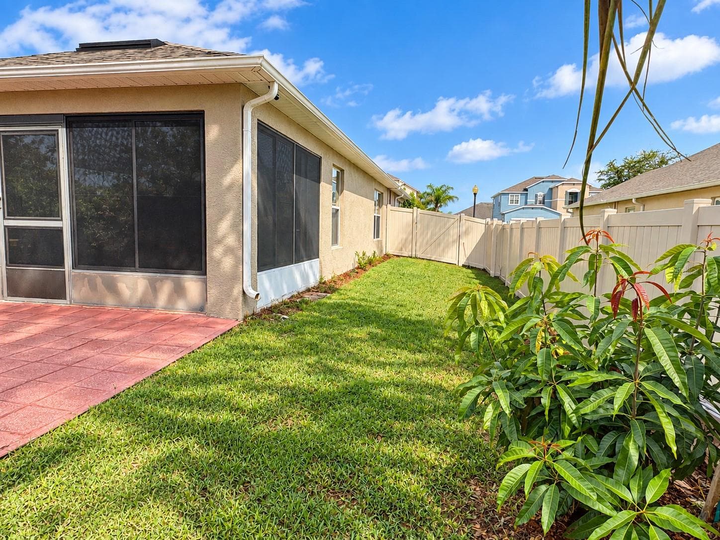 Side exterior w/tropical fruit tree - Mango - 4408 ARUBA BLVD, CLERMONT