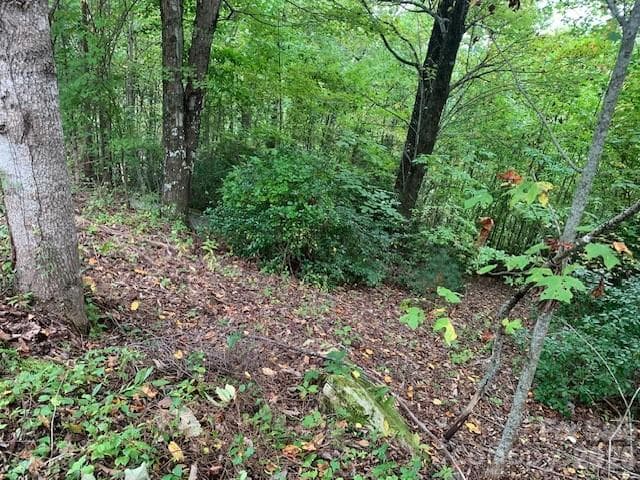 Lovely Nhood, peaceful quiet, GATED COMM. - 105 CROSSVINE Trail, Laurel Park