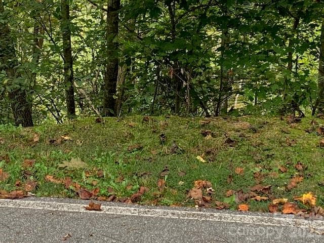 Lot at 105 CROSSVINE Trail, Laurel Park, photo 5 of 43