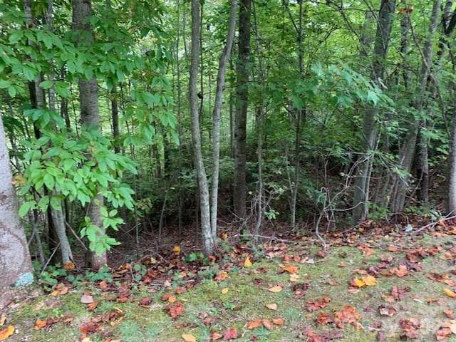 WATER, SEWER AVAIL. - 105 CROSSVINE Trail, Laurel Park