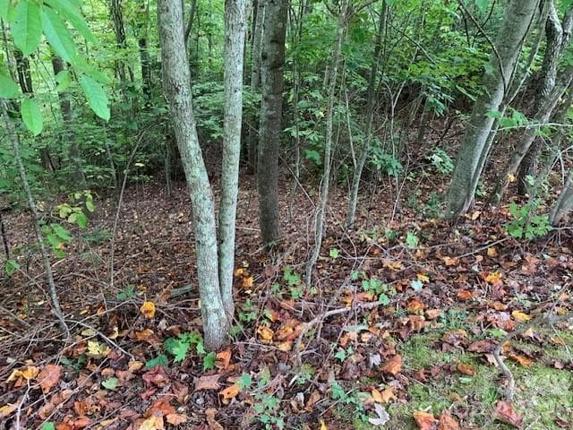 By GATED ENTRANCE,Comm Park see: - 105 CROSSVINE Trail, Laurel Park