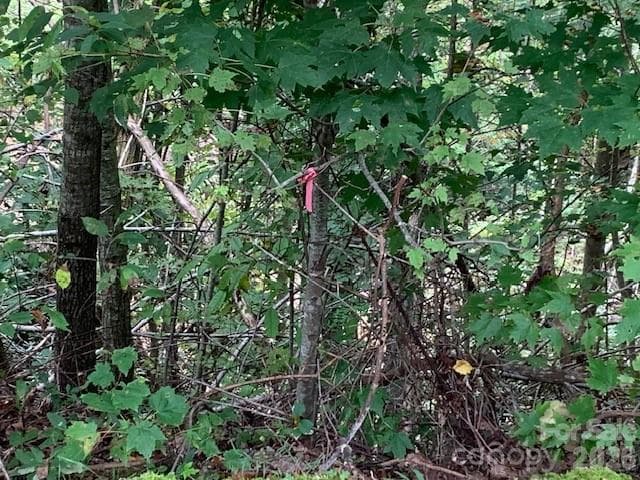 Lot at 105 CROSSVINE Trail, Laurel Park, photo 27 of 43