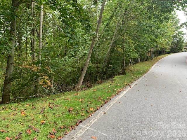 Lot at 105 CROSSVINE Trail, Laurel Park, photo 28 of 43