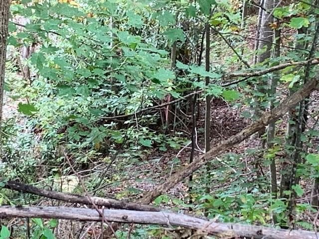 Lot at 105 CROSSVINE Trail, Laurel Park, photo 36 of 43
