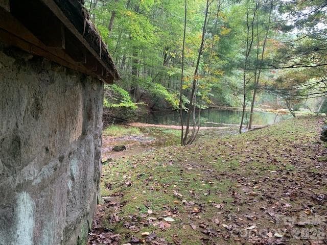 Lot at 105 CROSSVINE Trail, Laurel Park, photo 40 of 43