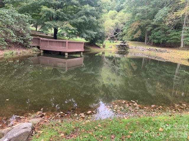 Lot at 105 CROSSVINE Trail, Laurel Park, photo 42 of 43