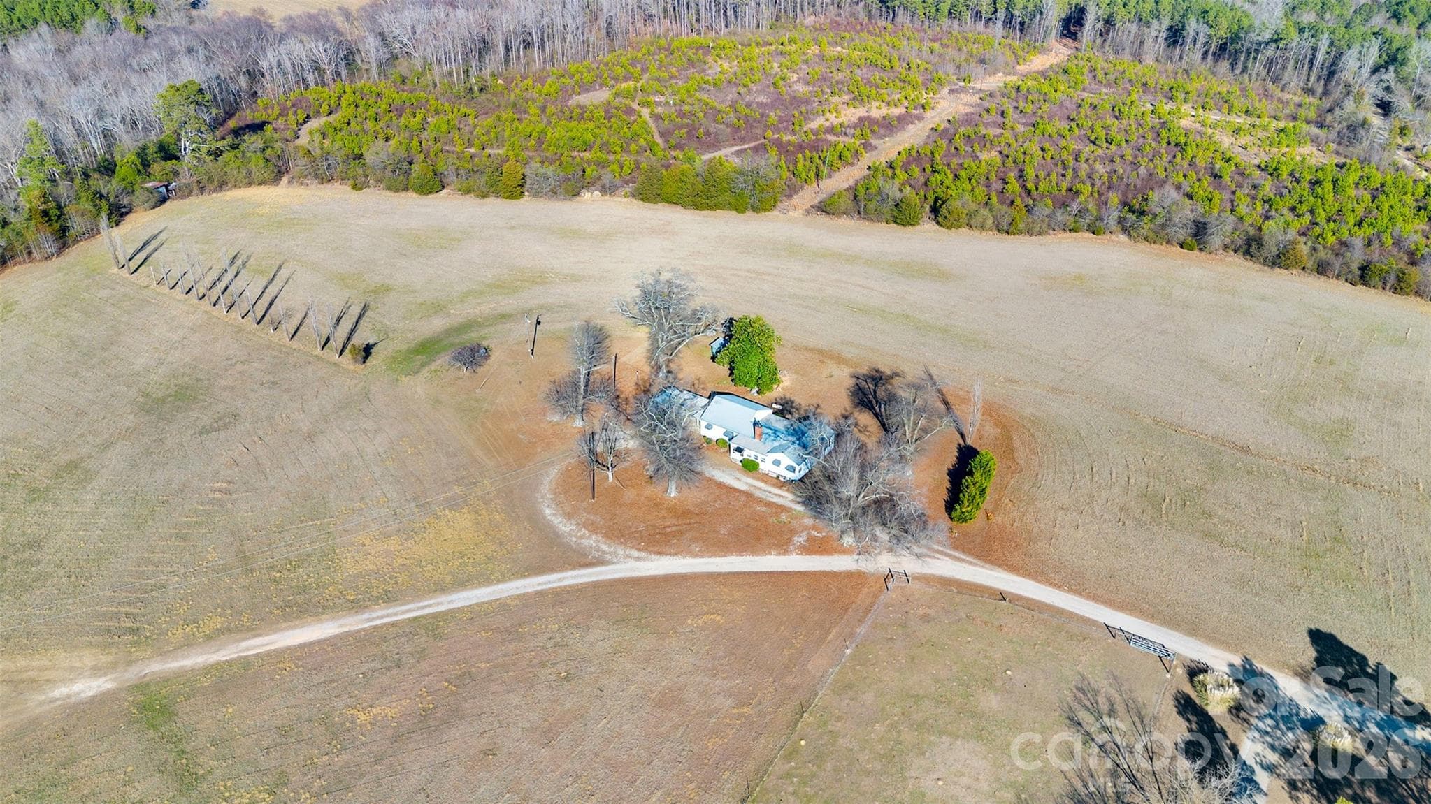 Single Family Residence at 318 McFarlan Road, Morven, photo 20 of 41