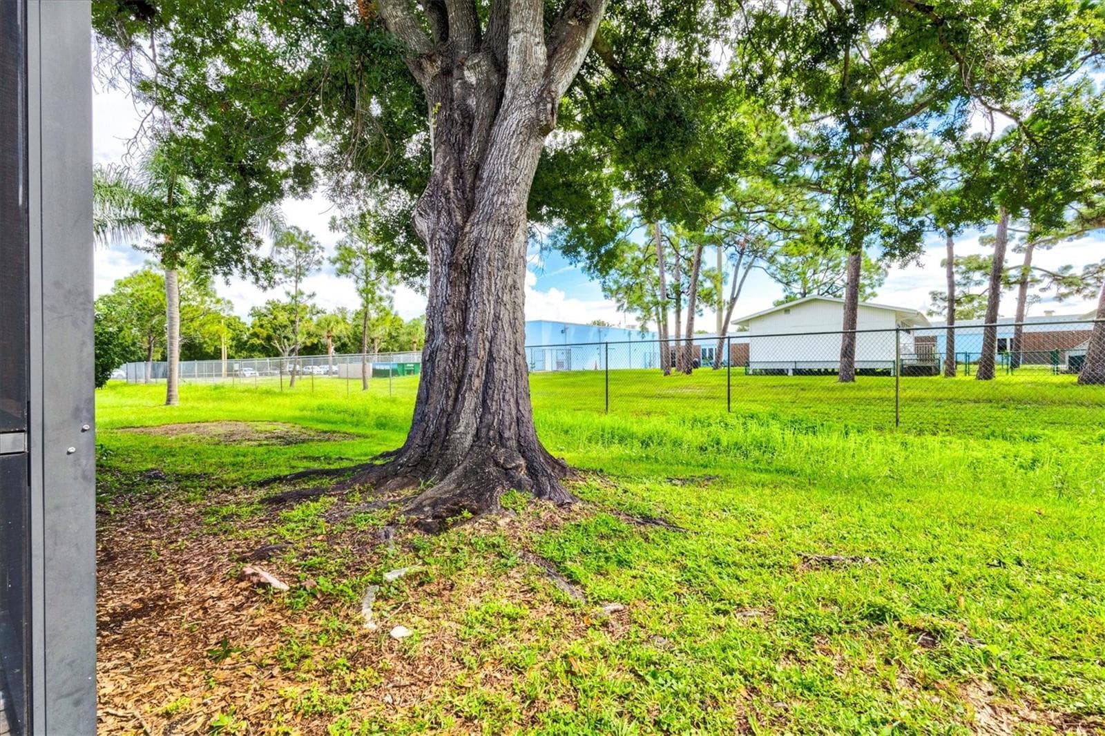Southeast yard - 7129 QUEEN PALM CIR, SARASOTA