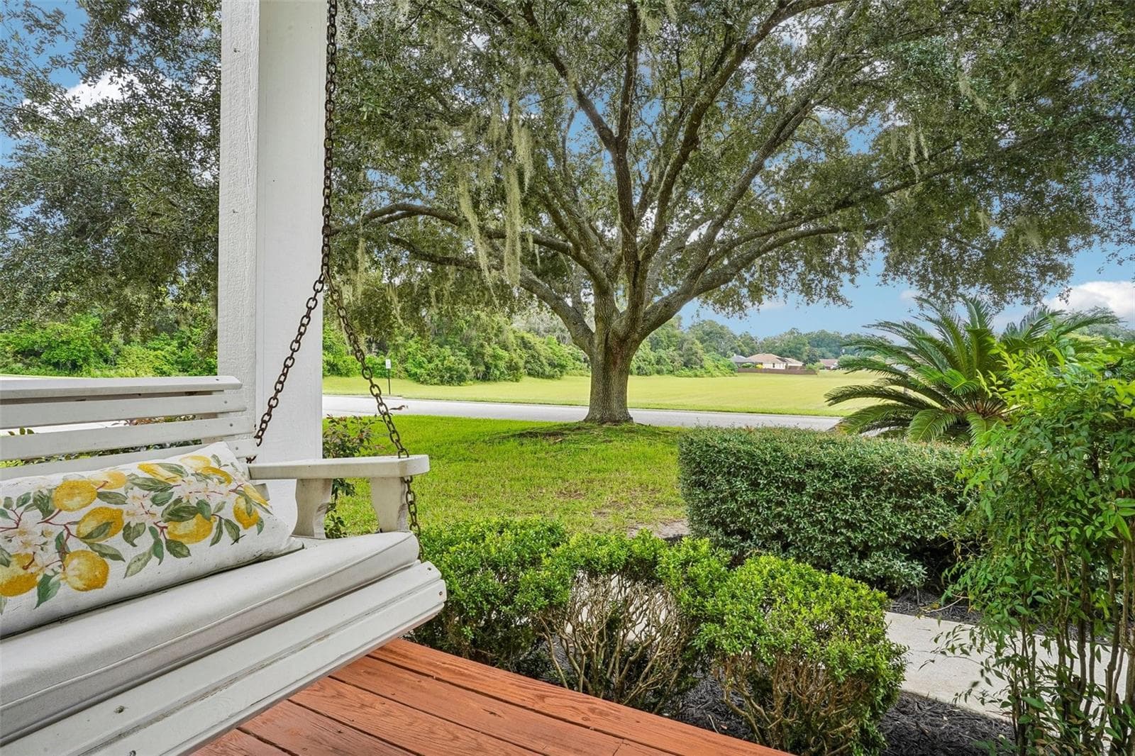view from the front porch - 10540 SE 42ND TER, BELLEVIEW