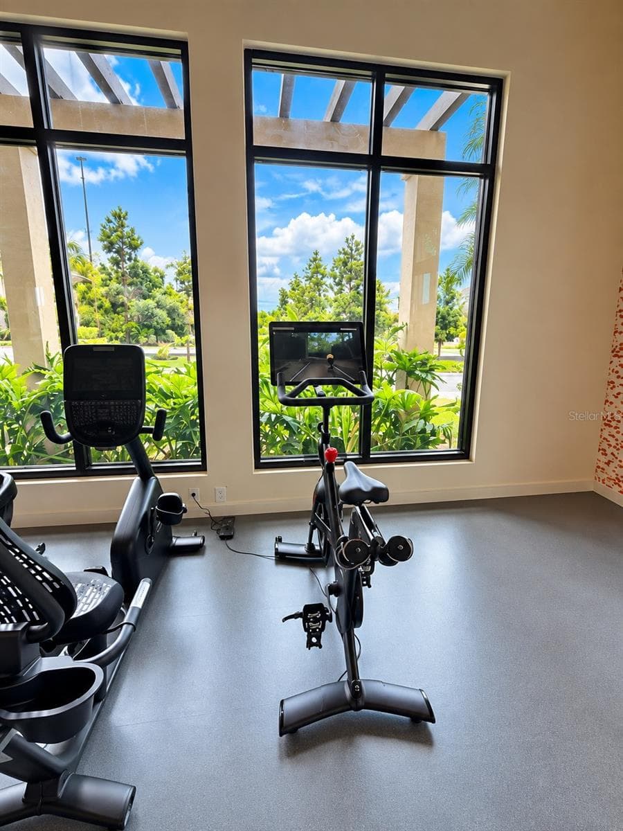 Community fitness center featuring a Peloton bike with scenic views through expansive windows. - 237 VISTERA BLVD, NOKOMIS