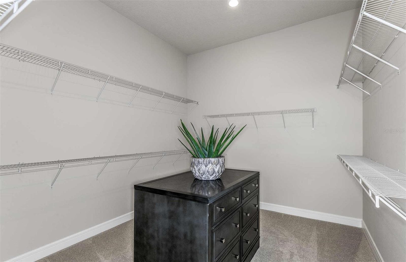 Model Representation - 17120 SYCAMORE HEIGHTS DR, SPRING HILL