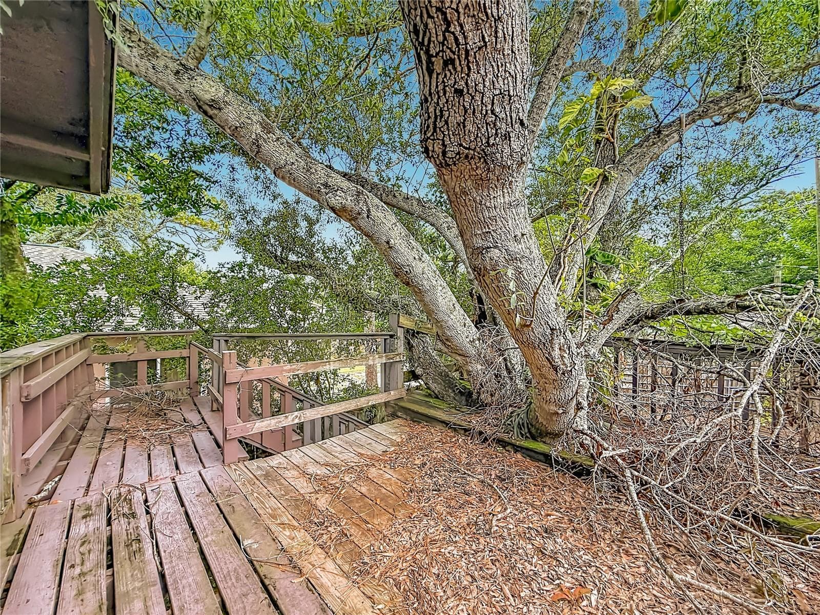 Single Family Residence at 4519 HAINES RD N, ST PETERSBURG, photo 22 of 45