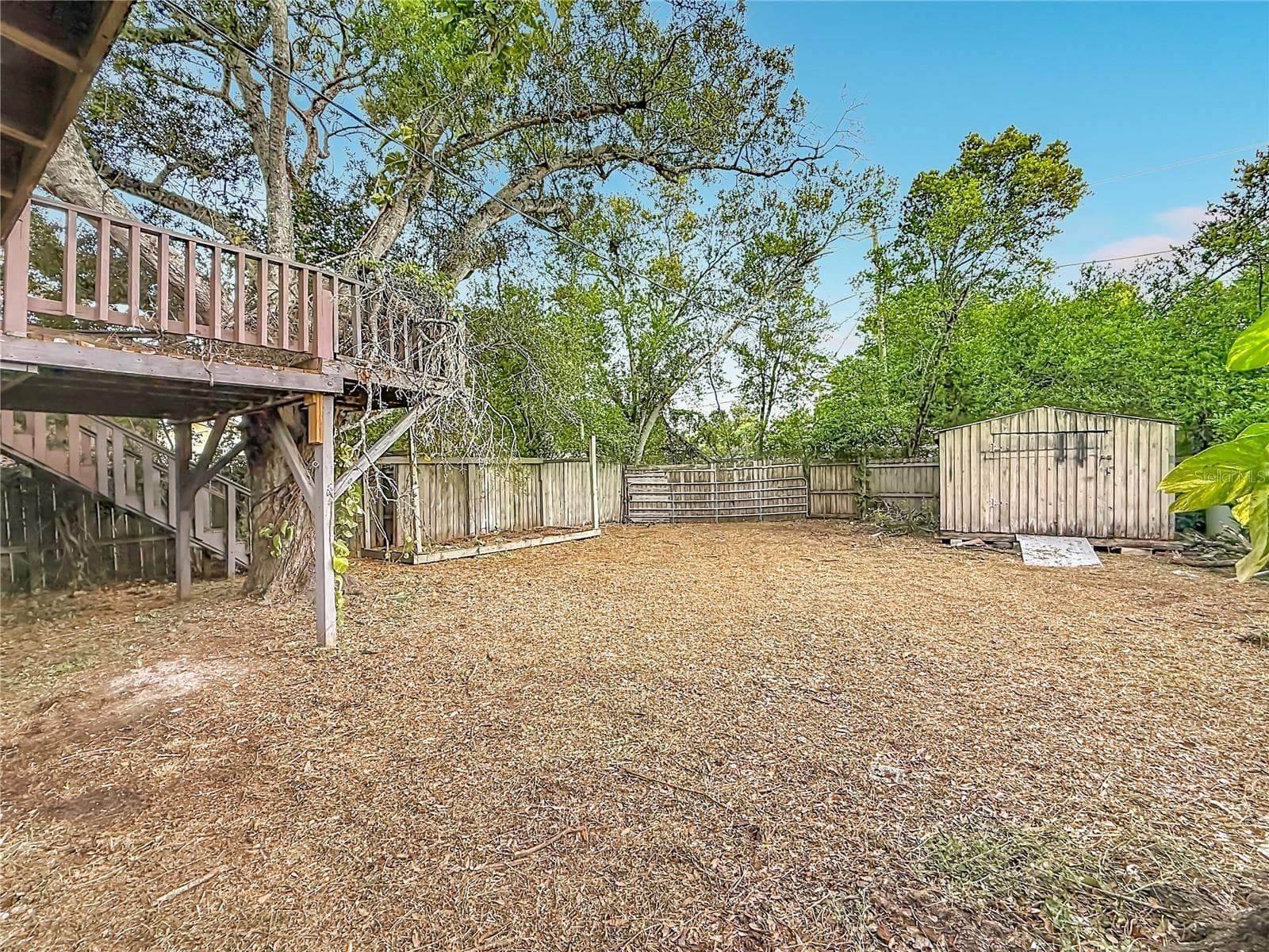 Single Family Residence at 4519 HAINES RD N, ST PETERSBURG, photo 30 of 45