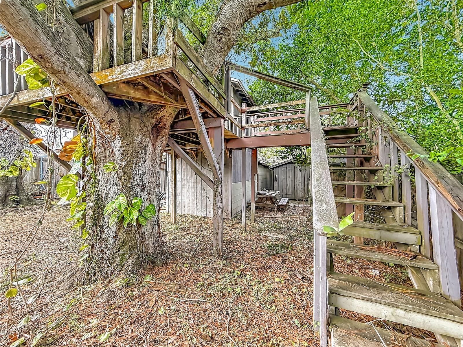 Single Family Residence at 4519 HAINES RD N, ST PETERSBURG, photo 32 of 45