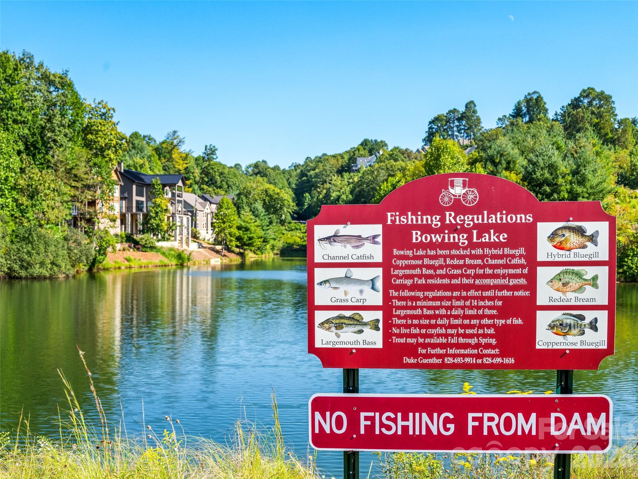 Types of stocked fish! - 158 Narrows Run Loop, Hendersonville