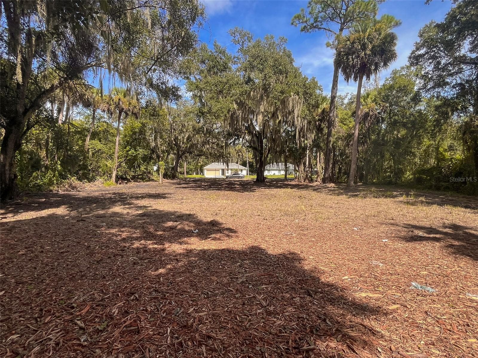 Looking out to the street - 320 INGHAM RD, NEW SMYRNA BEACH