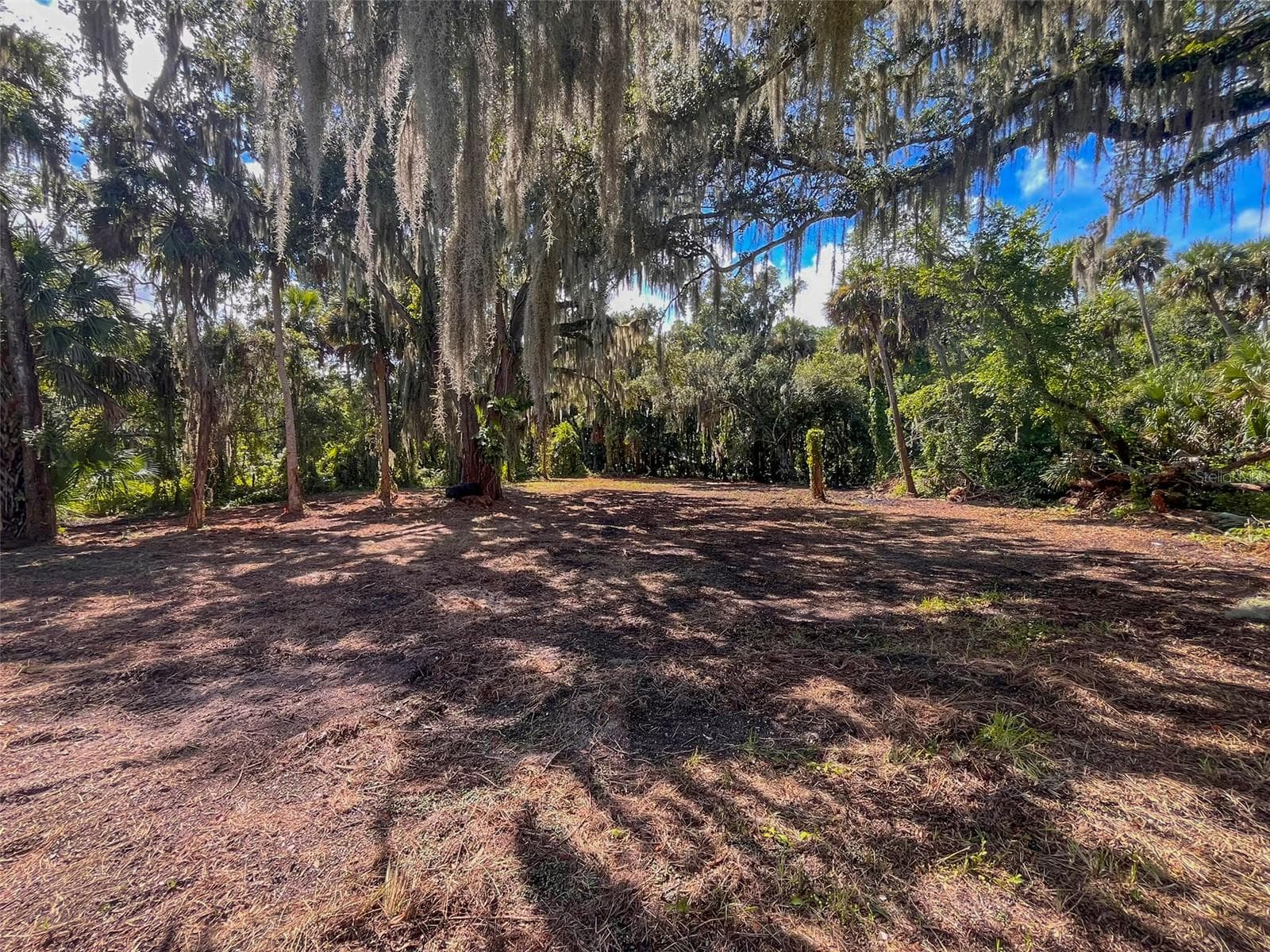Inter area cleaned up - 320 INGHAM RD, NEW SMYRNA BEACH