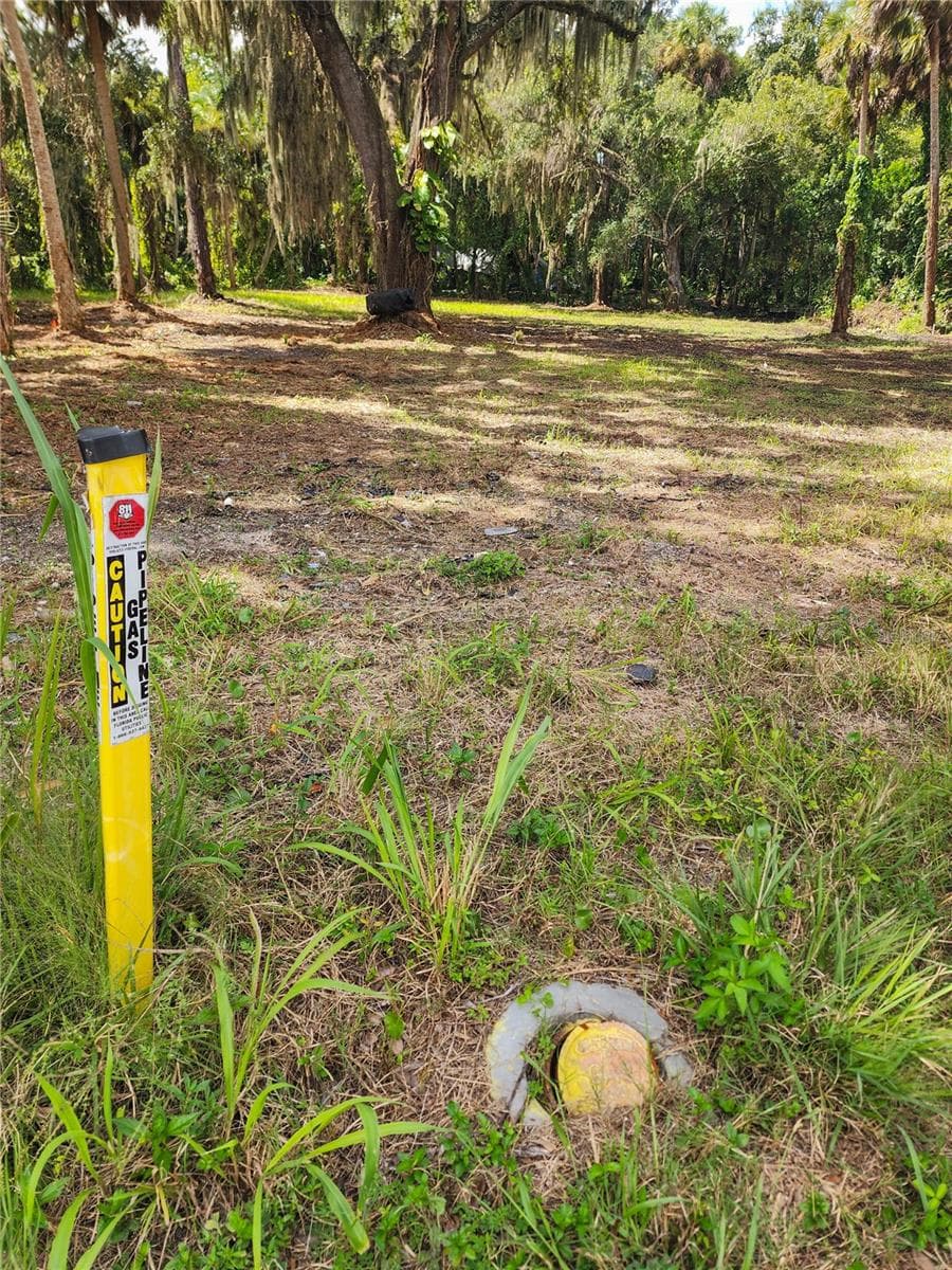 Natural Gas At the property - 320 INGHAM RD, NEW SMYRNA BEACH