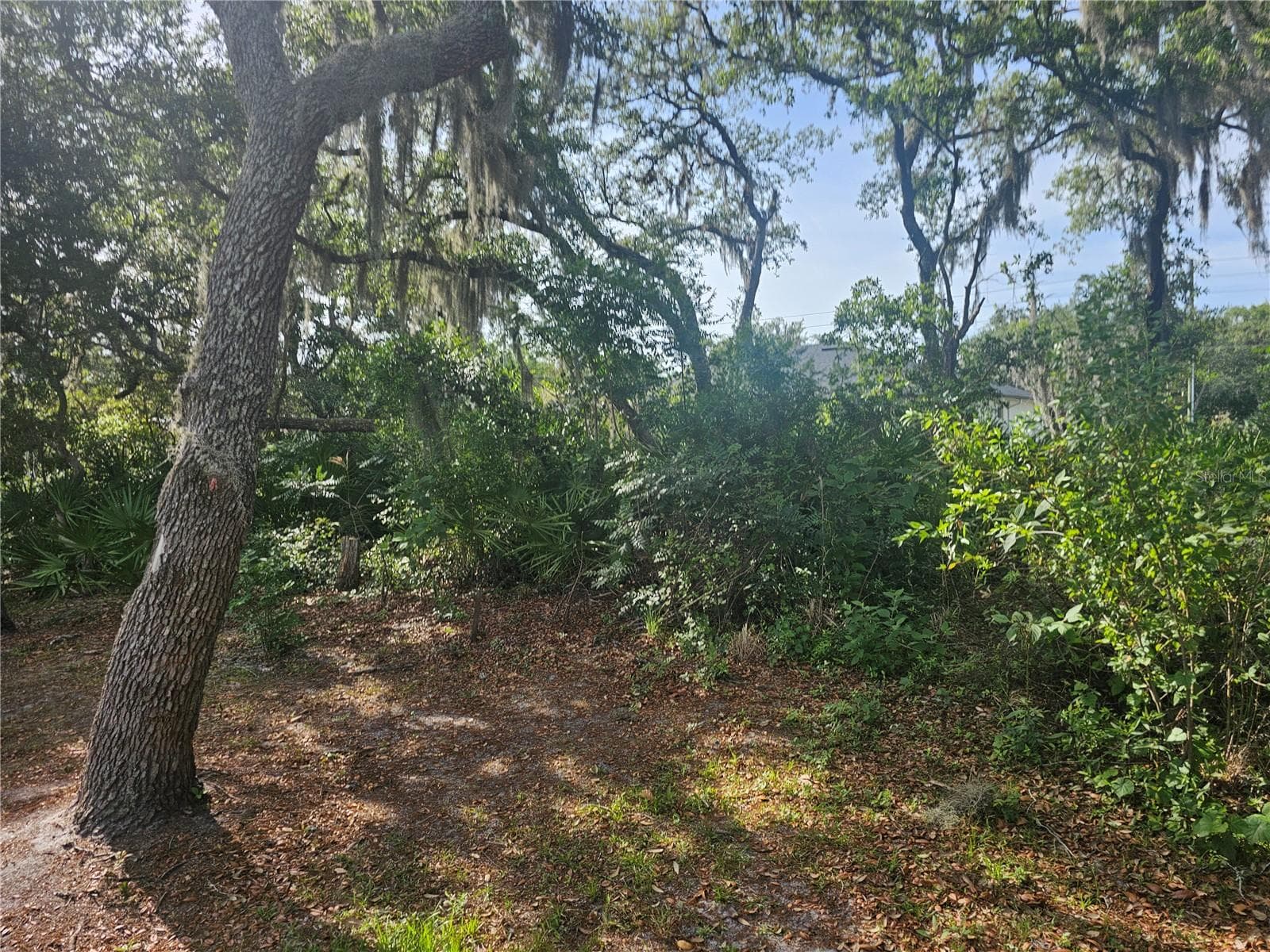 Single Family Residence at 259 TOMS RD, DEBARY, photo 29 of 29