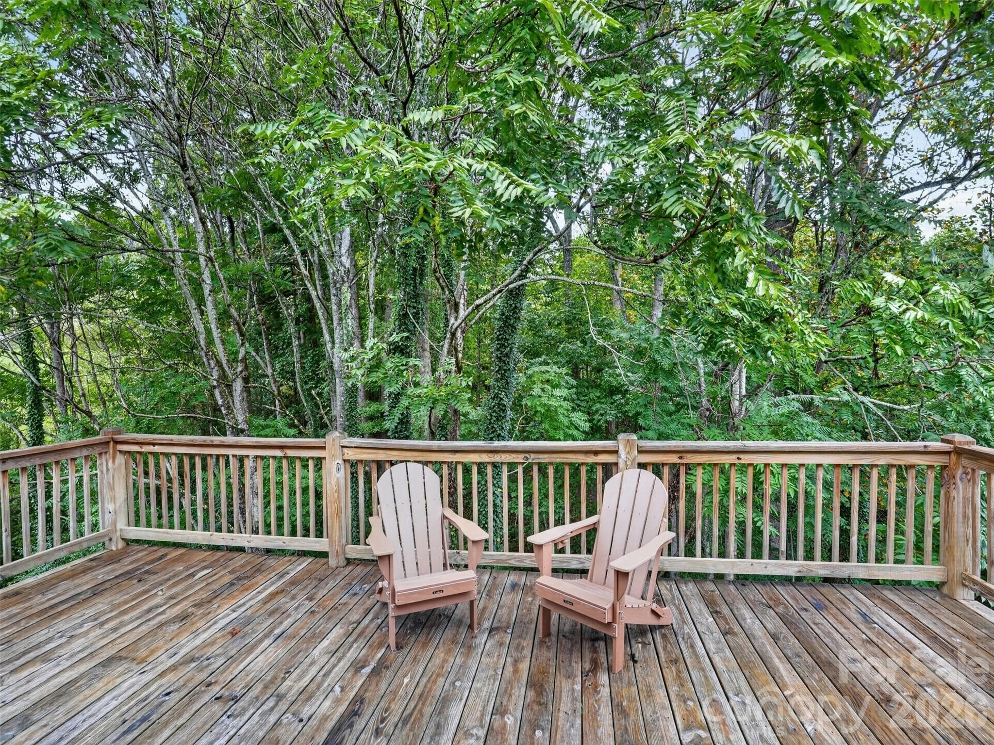 Single Family Residence at 308 Beck Creek Circle, Flat Rock, photo 16 of 47