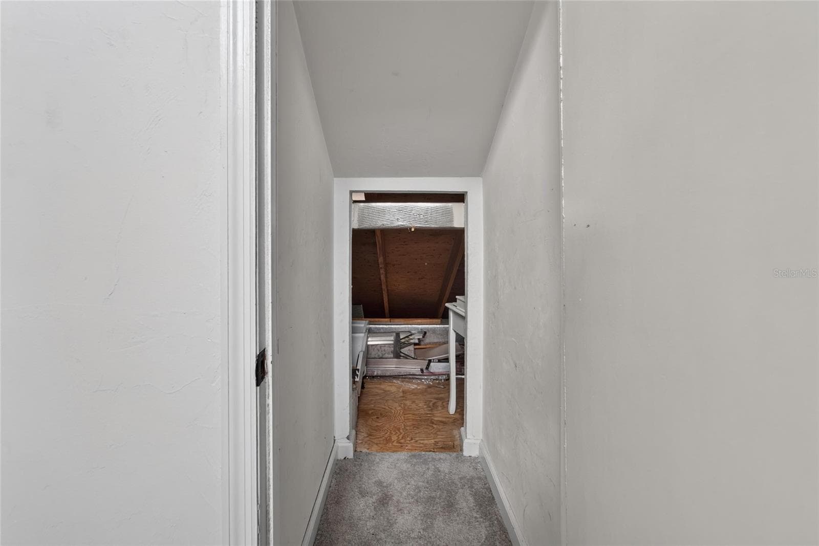 Attic Access that is perfect for storing your what nots. - 5205 OAK CHARTER CT, TEMPLE TERRACE