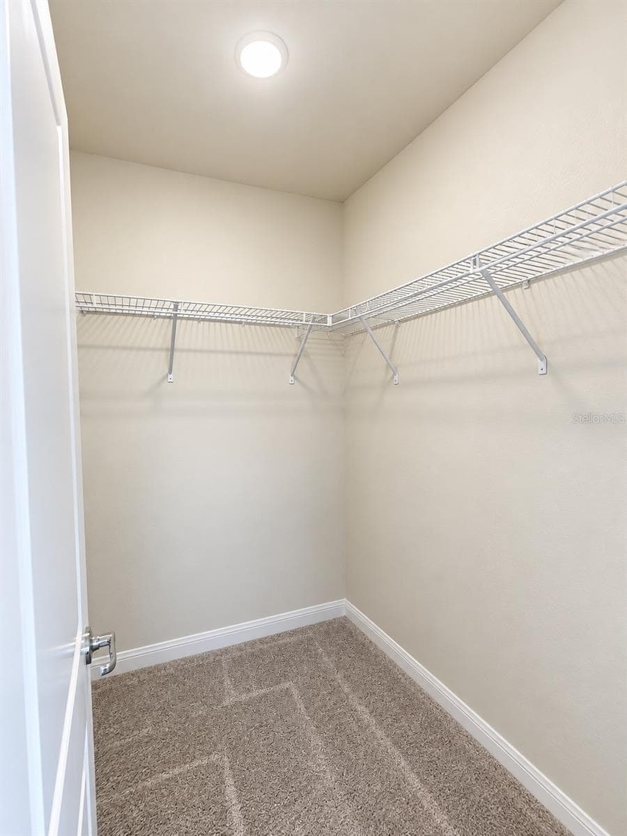 Fifth bedroom featuring a spacious walk-in closet with wraparound shelving and ample storage, offering excellent functionality and organization. - 6735 REVERIE PARK AVE, ORLANDO
