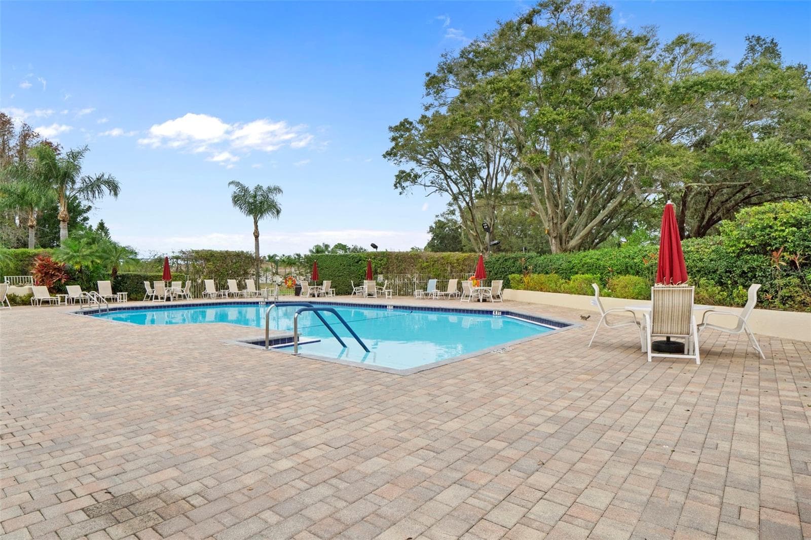 Clubhouse pool - 7924 HARDWICK DR #617, NEW PORT RICHEY